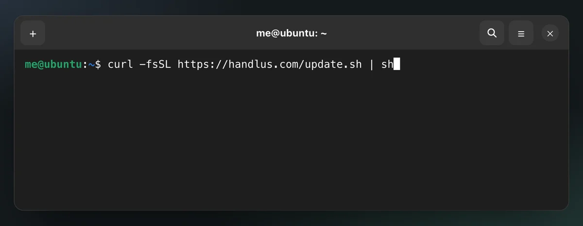 The command pasted into the terminal, before pressing Enter