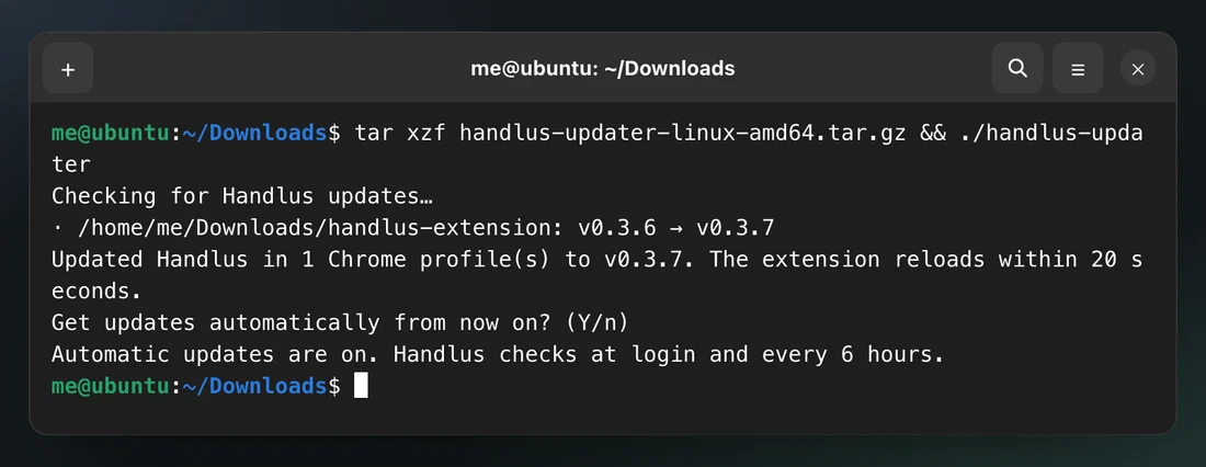Linux terminal running the updater, with the updated folder and the automatic update question
